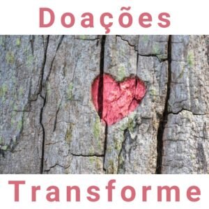 transforme-doacoes-site-de-vanguarda-24999229696